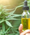 CBD Therapy offers safe CBD oil (Olio CBD) products duly tested