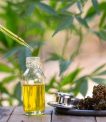 CBD oil (Huile CBD)s (Huile CBD)extracted from the most select crops